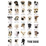 The Dog Collection  Постер 64х90см