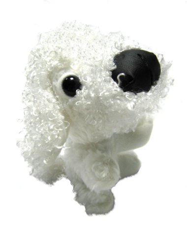 The dog collection 12 Тойпудель