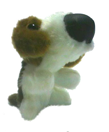 The dog collection 22 Бигль