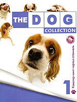 The Dog collection № 1 : Кавалер-Кинг-Чарльз Спаниель 