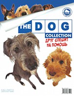 The Dog collection № 100 : Милые дворняги