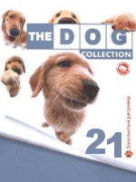 The Dog collection № 21 : Золотистый ретривер