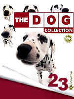 The Dog collection № 23 : Далматин