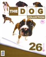 The Dog collection № 26 : Боксер