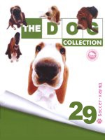 The Dog collection № 29 : Бассет-хаунд