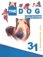 The Dog collection № 31 : Длинношерстная колли