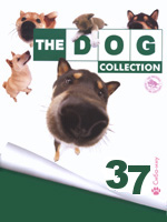 The Dog collection № 37 : Сиба-ину