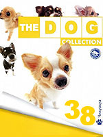 The Dog collection № 38 : Чихуахуа