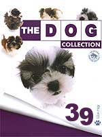 The Dog collection № 39 : Ши-тцу