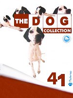 The Dog collection № 41 : Английский пойнтер