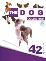 The Dog collection № 42 : Грейхаунд