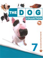 The Dog collection № 7 : Английский бультерьер