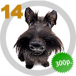 The Dog Collection 14 выпуск