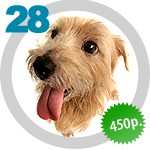 The Dog Collection 28 выпуск