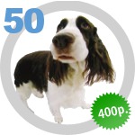 The Dog Collection 50 выпуск