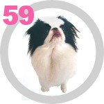The Dog Collection 59 выпуск