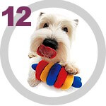 The DOG Collection № 12